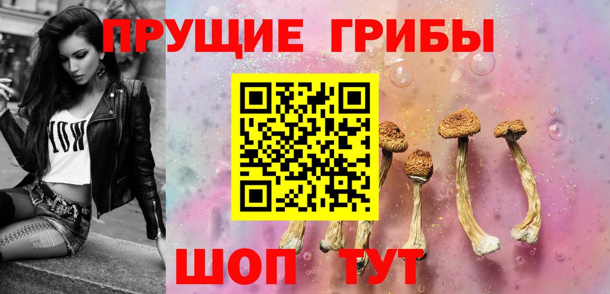 Кемерово  Псилоцибиновые грибы ЛСД  Вход с VPN 